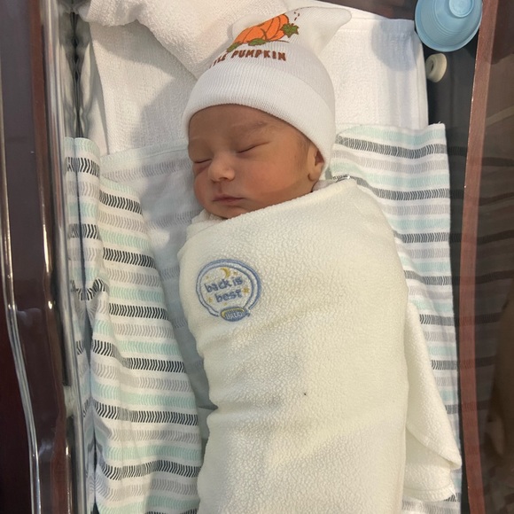 Meet your Posher, Ava - Picture 7 of 8